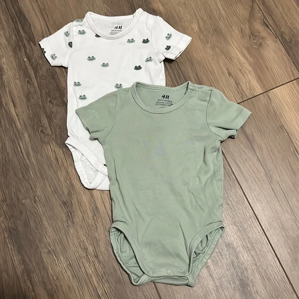 Baby Basics - Picture 1 of 1